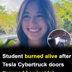 Student ‘burned alive’ after being trapped by her Tesla