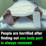 People are horrified after finding out one body part is always removed during an autopsy