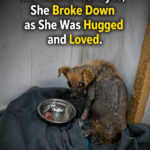 Silently hiding the fear in her eyes, she broke down as she was hugged and loved