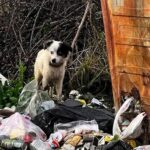 Protecting her pile of rubble… she didn’t know a soft bed even existed